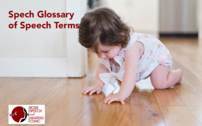 Glossary of Speech Terms