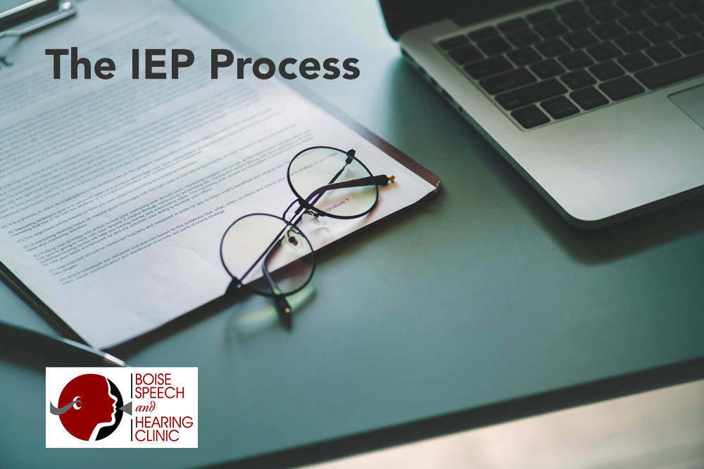 The IEP Process